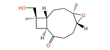 Rumphellolide E